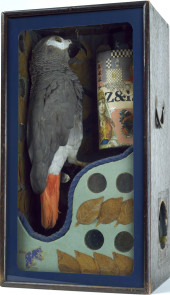 Joseph Cornell, Untitled (Fortune-Telling Parrot for Carmen Miranda), ca. 1939. Glass-paned wooden box with brass handles, taxidermy parrot, music box parts, dried and varnished leaves, mirror, cardboard, colored and printed papers, wooden branch, metallic stickers, wood, paint, and string, 16 1/16 x 8 3/4 x 6 11/16 inches (40.8 x 22.2 x 17 cm)