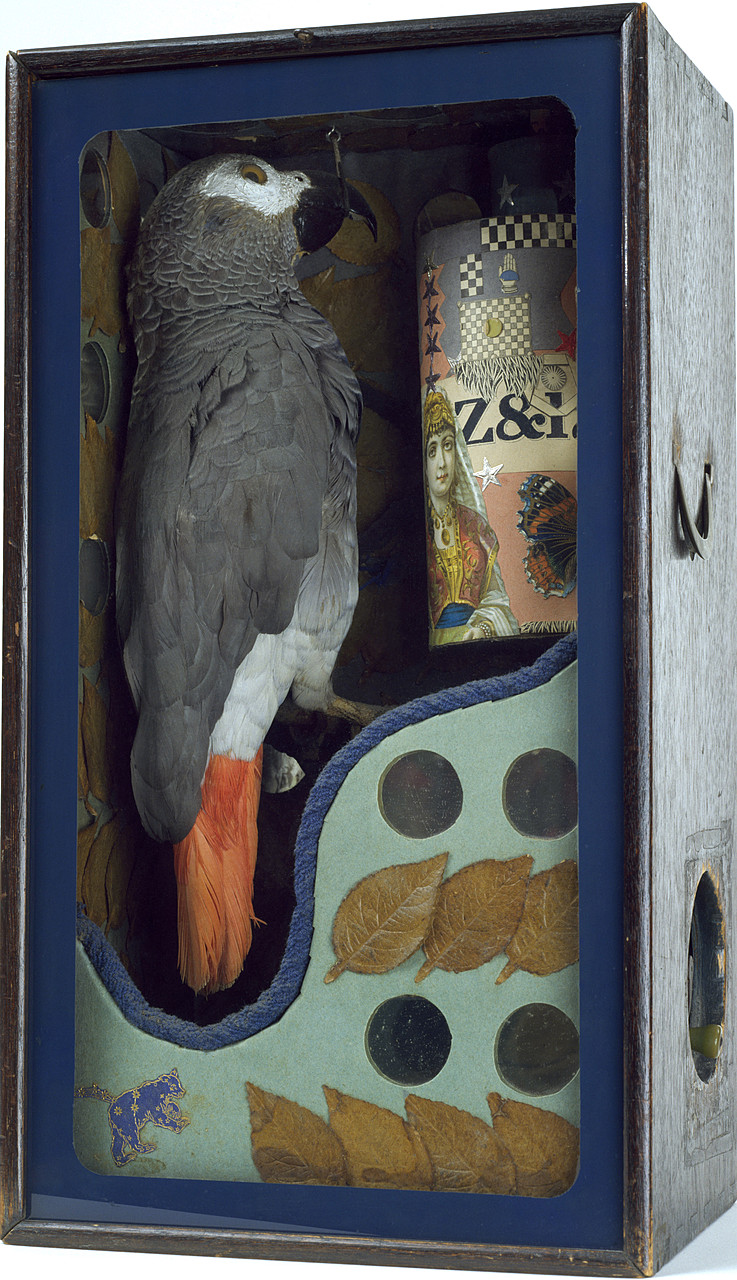 Joseph Cornell: how the reclusive artist conquered the art world