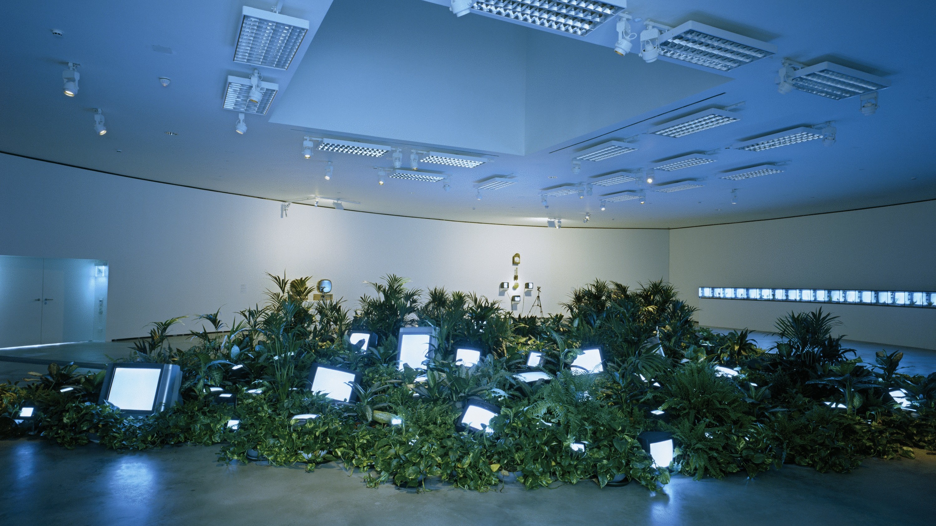 The Worlds of Nam June Paik: Hanhardt, John G., Paik, Nam