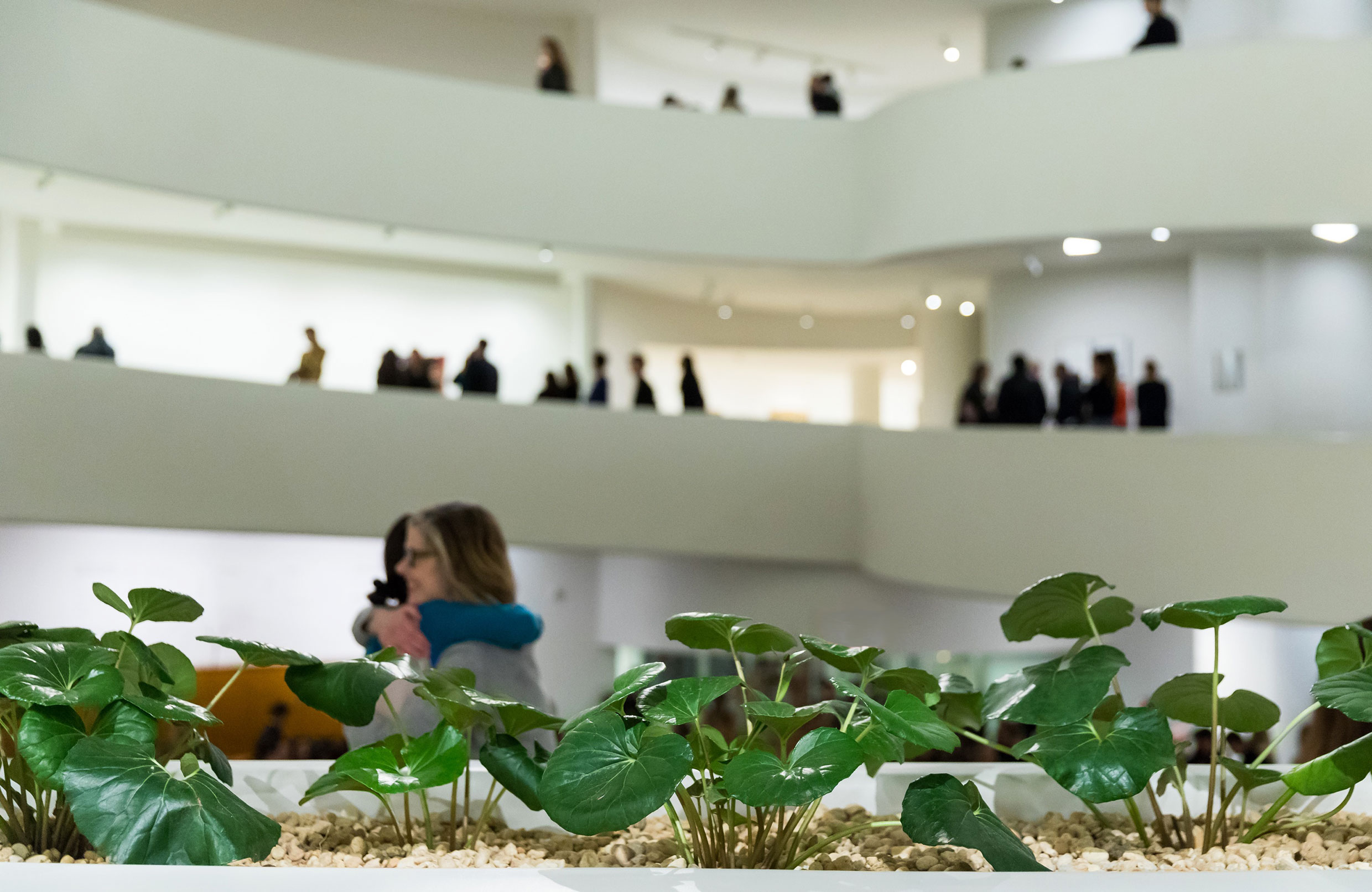 The Guggenheim Museums and Foundation