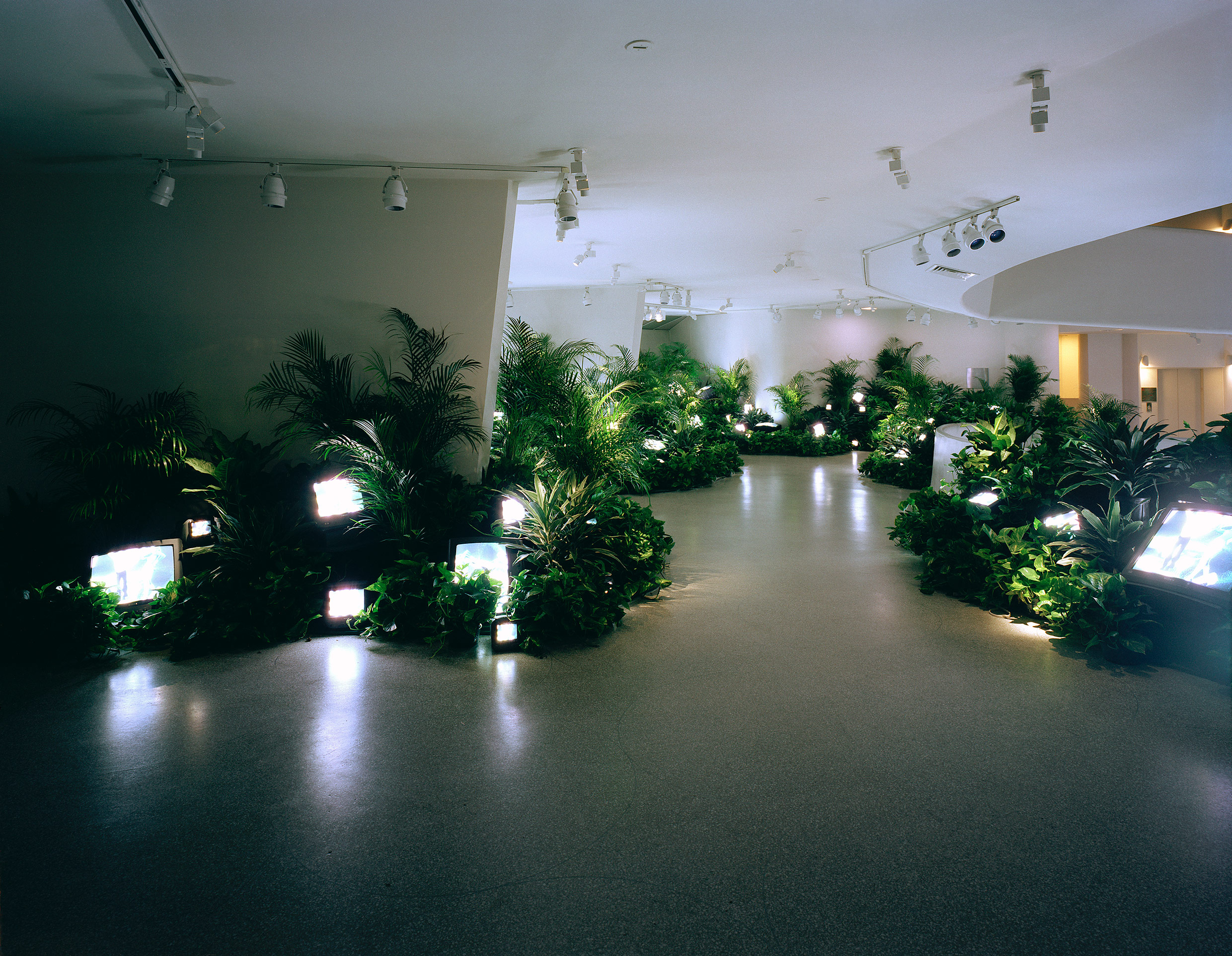 Nam June PAIK 백남준 | The Guggenheim Museums and Foundation Nam June PAIK 백남준 | The Guggenheim Museums and Foundation