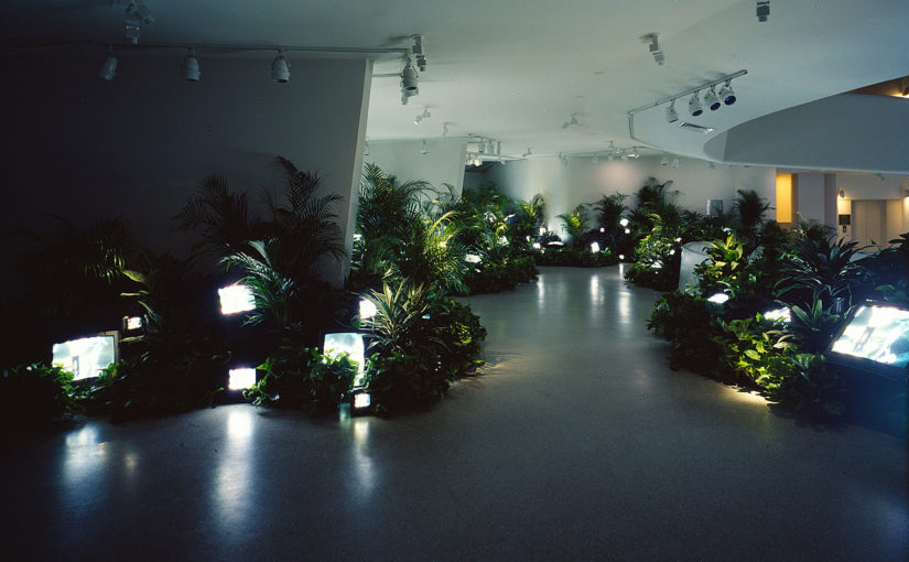 Nam June Paik, TV Garden, 1974 (2000 version). Color video, with sound, 29 min., with minimum of 30 television sets, and live plants, dimensions variable