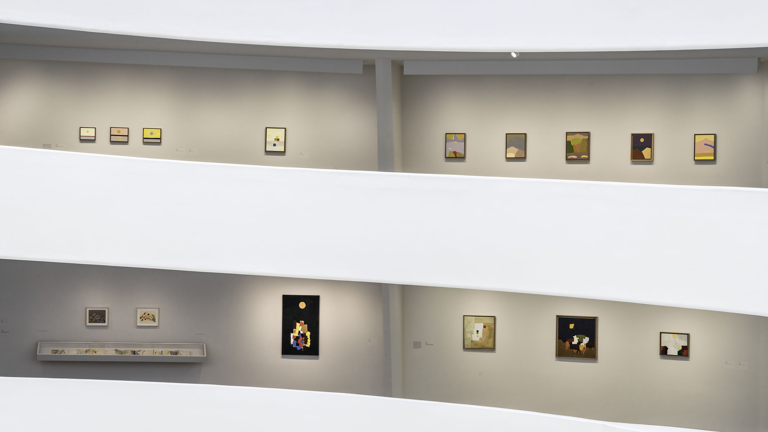 Exhibitions | The Museums and Foundation