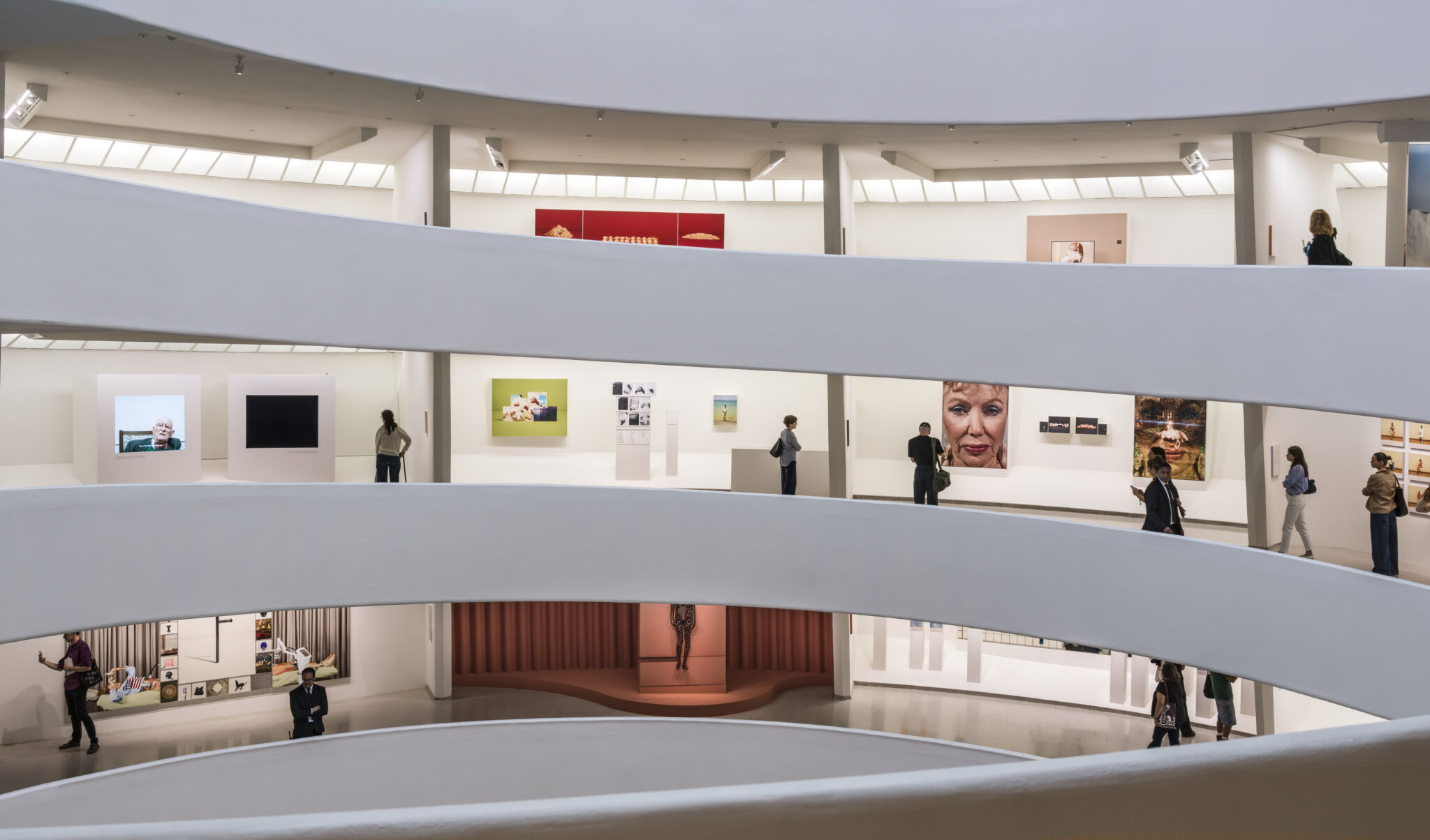 Taryn Simon: Father Country I Do Love You at Solomon R. Guggenheim Museum